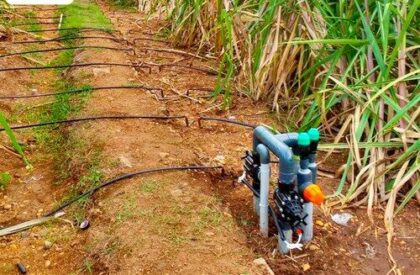 Drip-Irrigation-3-500x500 Drip-Irrigation-3-500x500