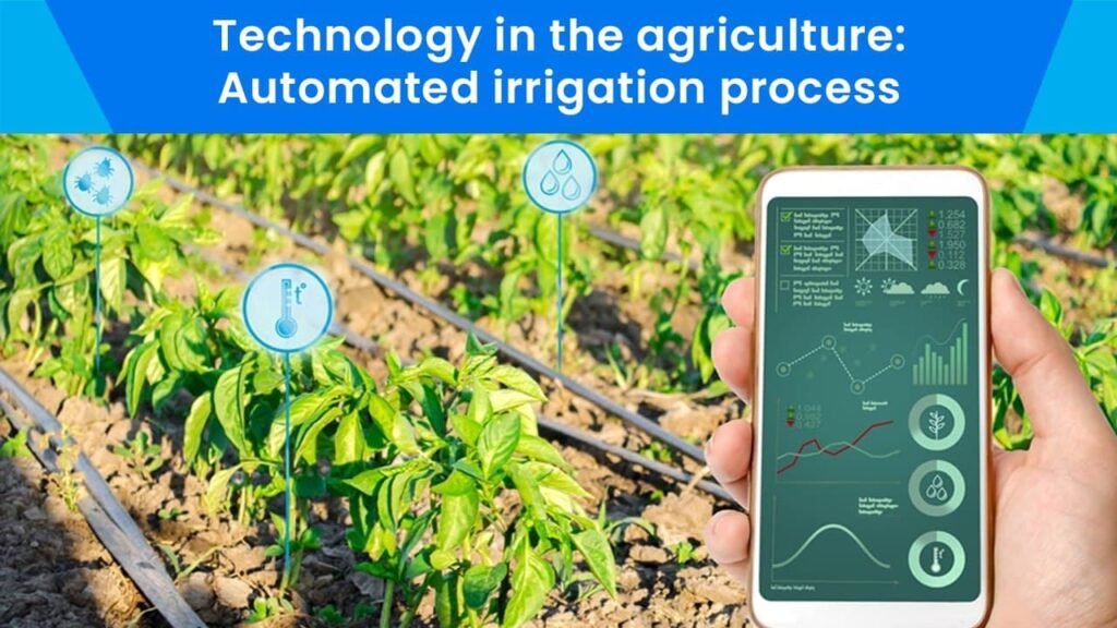 Automated irrigation process
