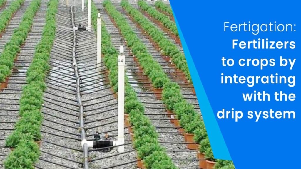 fertilizers to crops by integrating with the drip system