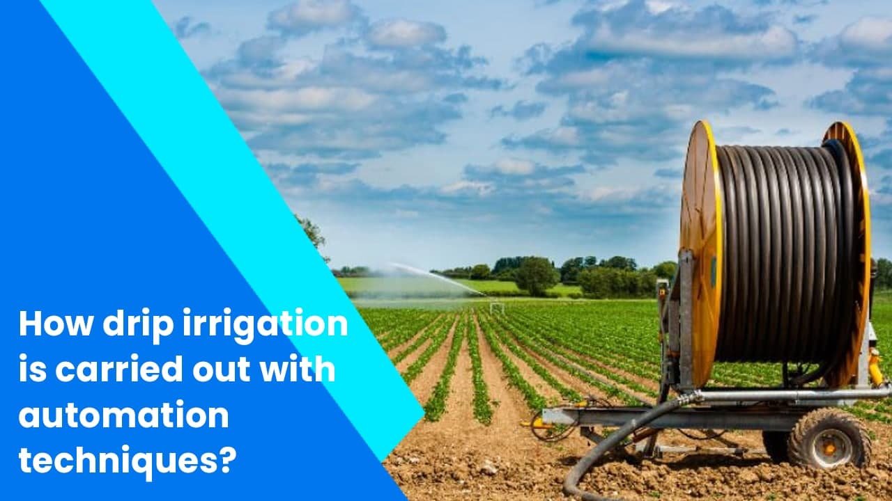 how drip irrigation is carried out with automation techniques