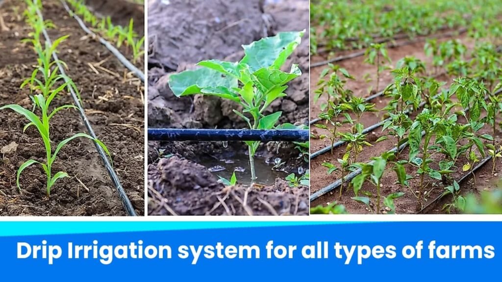 drip Irrigation system for all types of farms